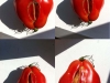 4-tomates